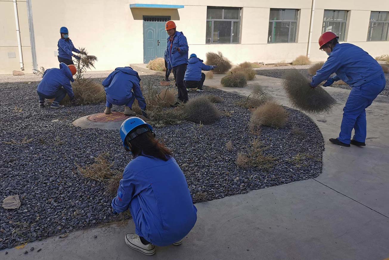 常州送料機(jī)廠清理枯草