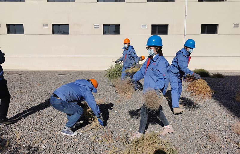 送料機(jī)廠除草